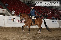 09buck-3253 proof
