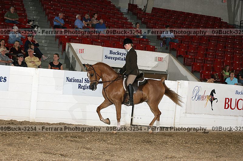 Proof 09buck-3254