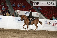 09buck-3254 proof