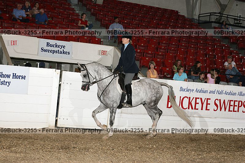 Proof 09buck-3255