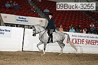 09buck-3255 proof