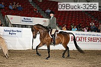 09buck-3256 proof