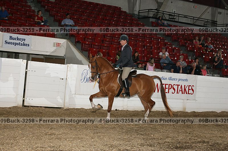 Proof 09buck-3258