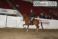 09buck-3258 proof