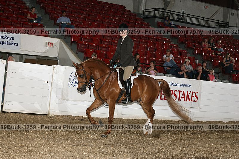 Proof 09buck-3259