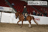 09buck-3259 proof