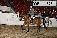 09buck-3261 proof