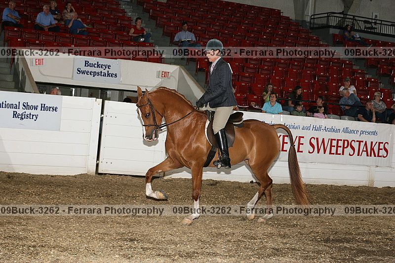 Proof 09buck-3262