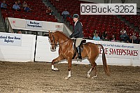 09buck-3262 proof