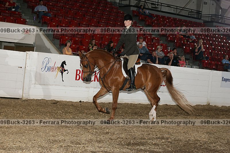 Proof 09buck-3263