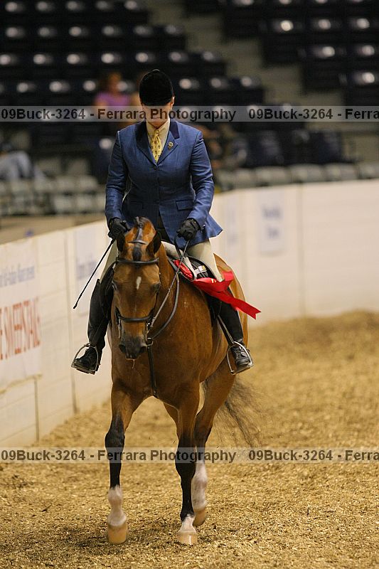 Proof 09buck-3264