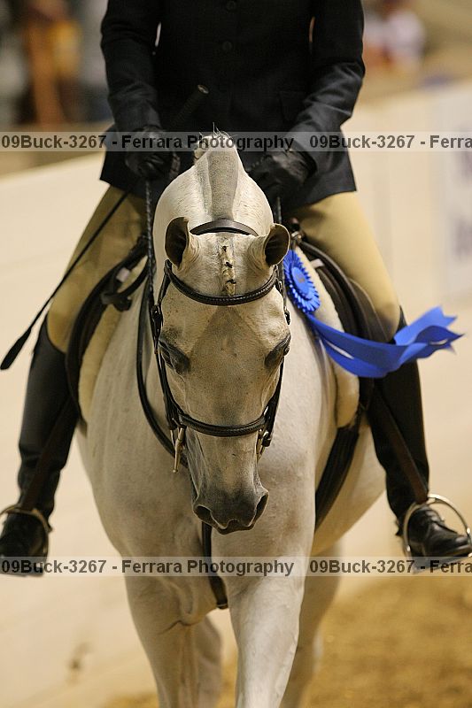 Proof 09buck-3267