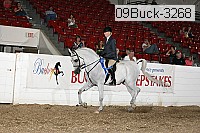 09buck-3268 proof