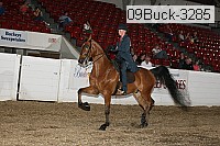 09buck-3285 proof