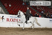 09buck-3306 proof
