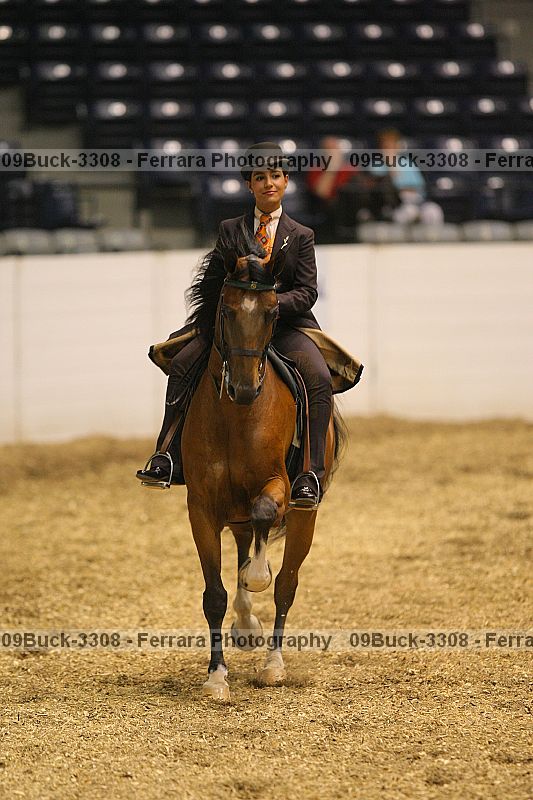 Proof 09buck-3308