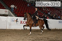 09buck-3310 proof