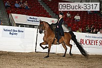 09buck-3317 proof