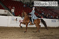 09buck-3318 proof