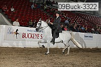 09buck-3322 proof