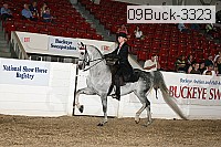 09buck-3323 proof
