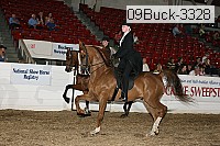 09buck-3328 proof