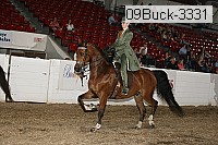09buck-3331 proof
