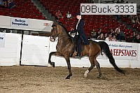 09buck-3333 proof