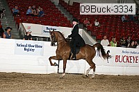 09buck-3334 proof