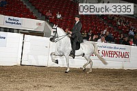 09buck-3335 proof