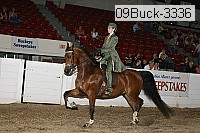 09buck-3336 proof