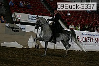 09buck-3337 proof