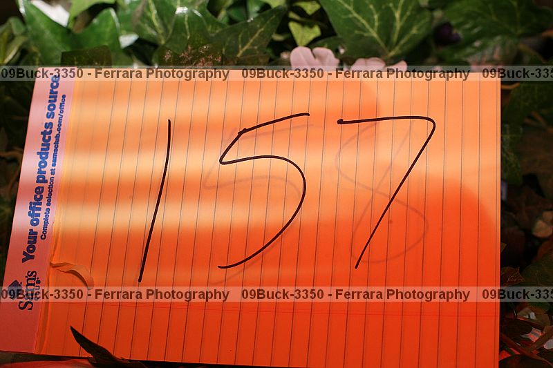 Proof 09buck-3350