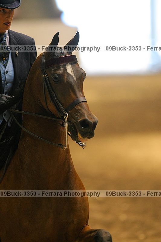 Proof 09buck-3353