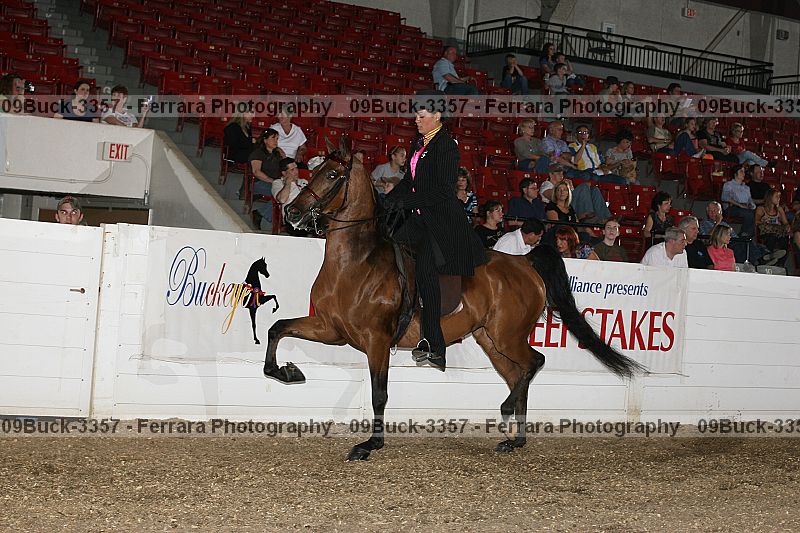 Proof 09buck-3357