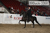 09buck-3358 proof