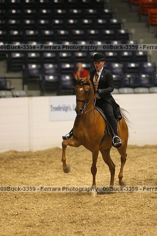 Proof 09buck-3359