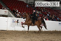 09buck-3361 proof