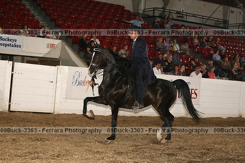 Proof 09buck-3363