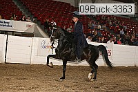 09buck-3363 proof