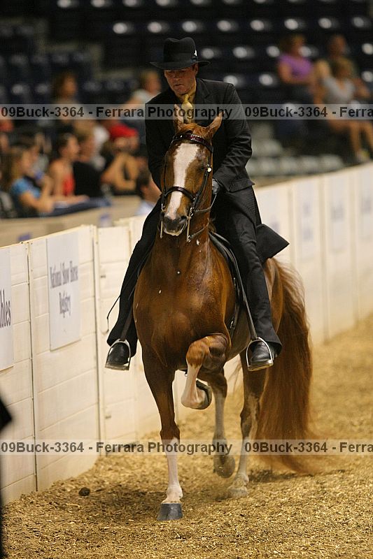 Proof 09buck-3364
