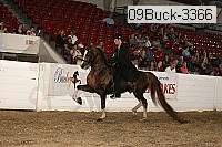 09buck-3366 proof