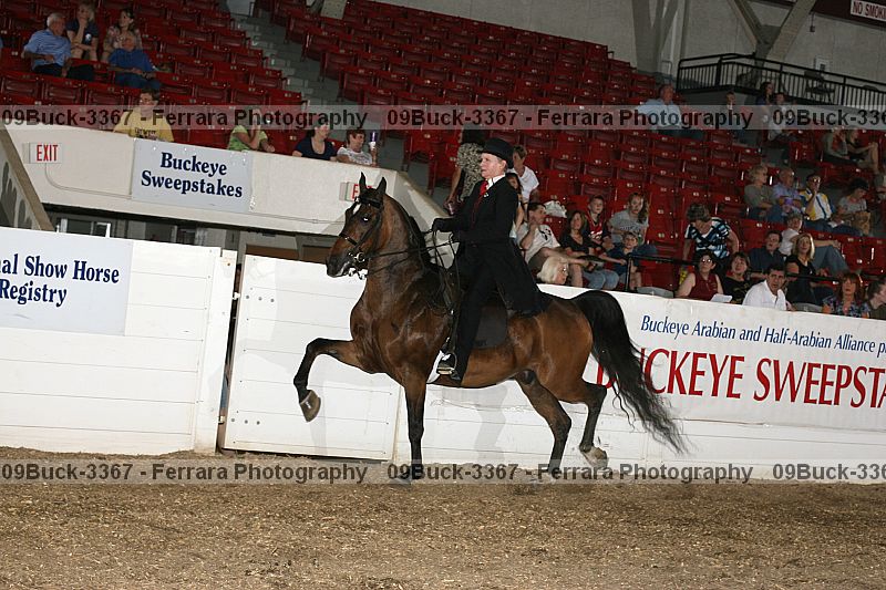 Proof 09buck-3367