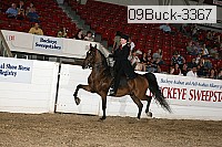 09buck-3367 proof