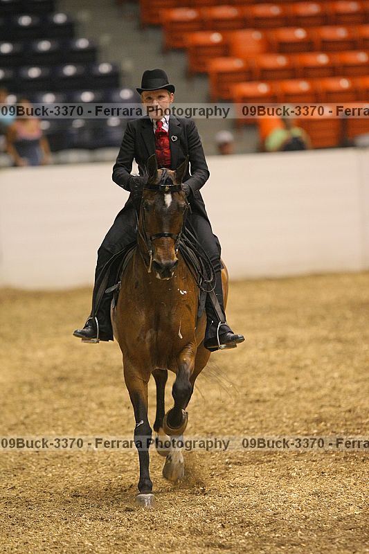 Proof 09buck-3370