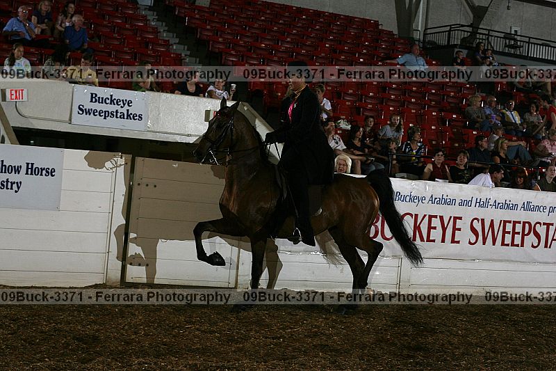 Proof 09buck-3371