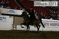 09buck-3371 proof
