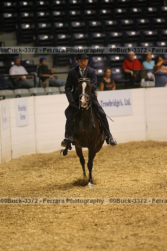 Proof 09buck-3372