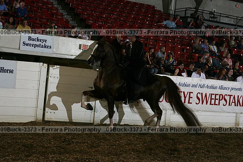Proof 09buck-3373