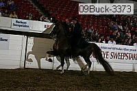 09buck-3373 proof